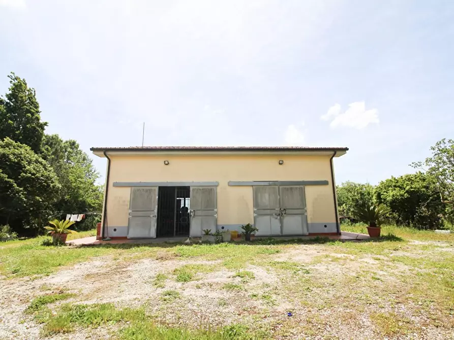 Immagine 15 di Terreno agricolo in vendita  a Cascina