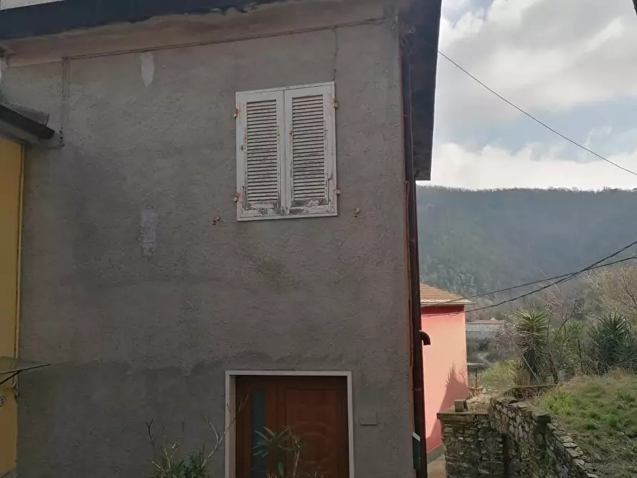 Immagine 3 di Terratetto in vendita  a Ortonovo