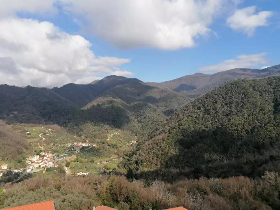 Immagine 27 di Terratetto in vendita  a Ortonovo