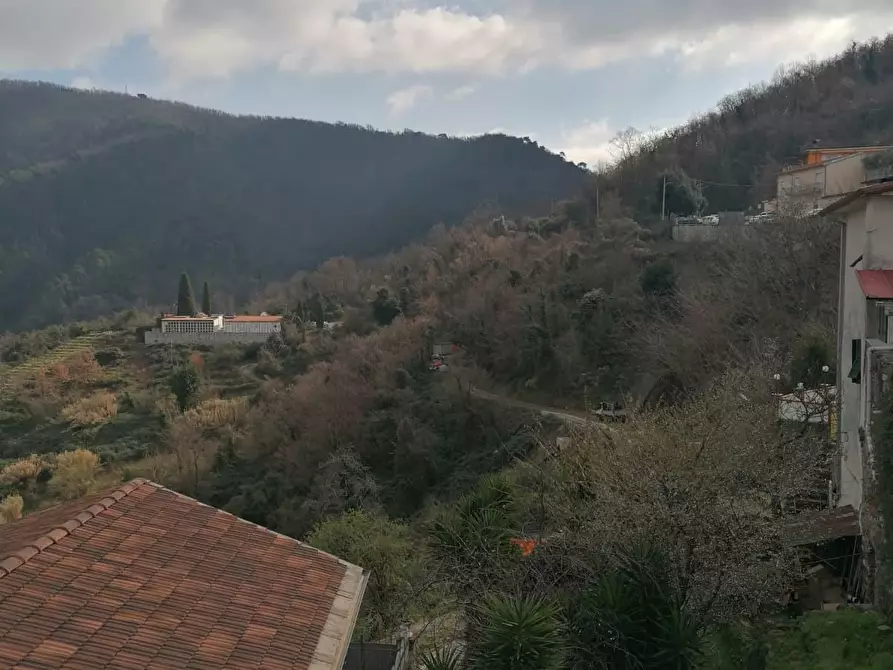 Immagine 24 di Terratetto in vendita  a Ortonovo