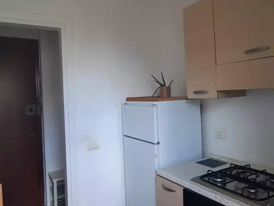 Immagine 19 di Appartamento in vendita  a Pisa