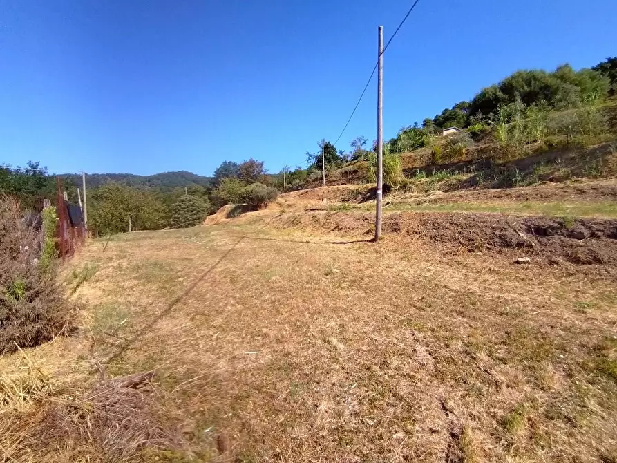 Immagine 11 di Casa bifamiliare in vendita  a Sarzana