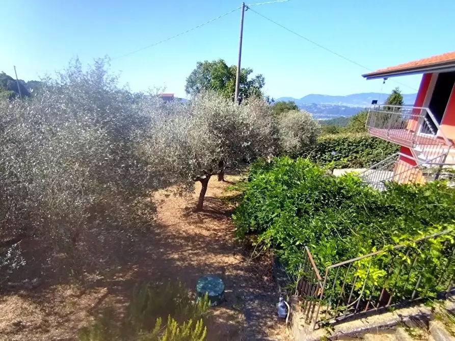 Immagine 9 di Casa bifamiliare in vendita  a Sarzana