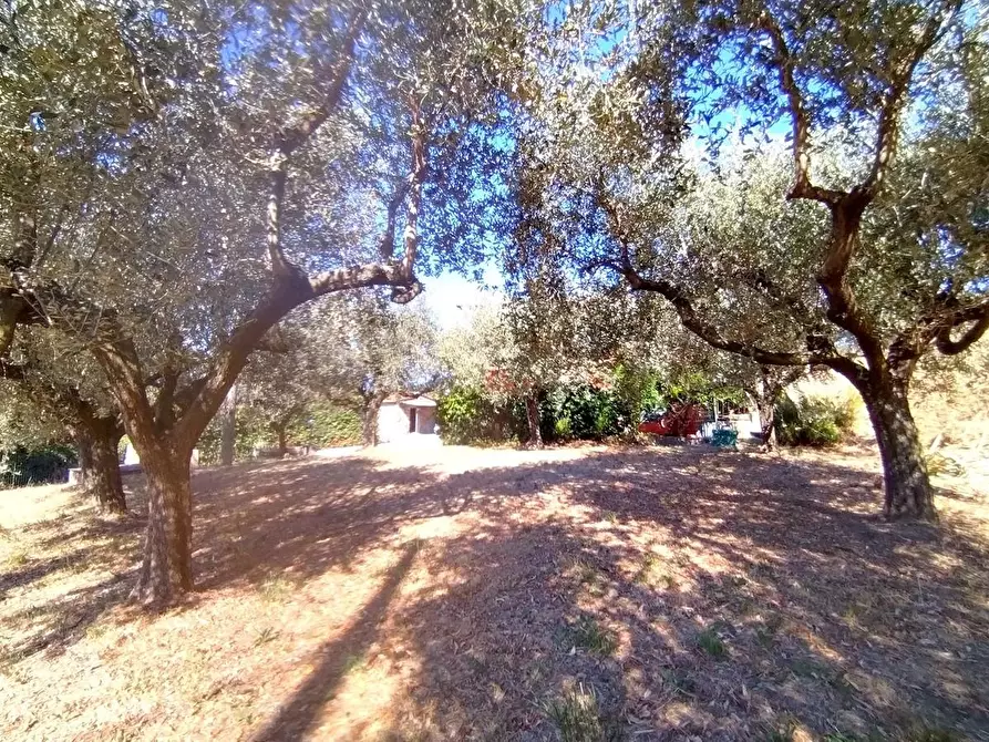 Immagine 6 di Casa bifamiliare in vendita  a Sarzana