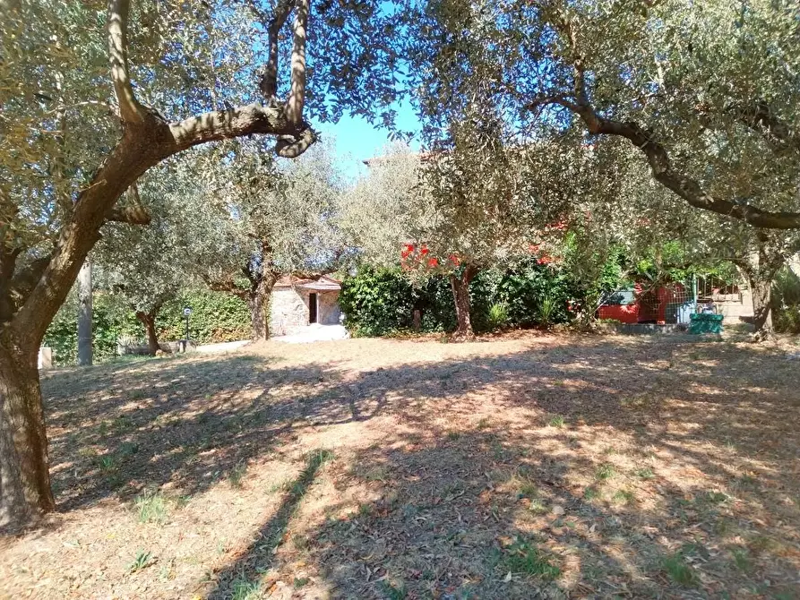 Immagine 5 di Casa bifamiliare in vendita  a Sarzana