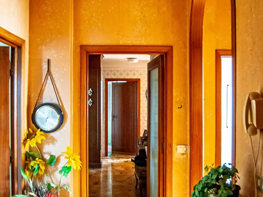 Immagine 12 di Appartamento in vendita  a Santa Croce Sull'arno