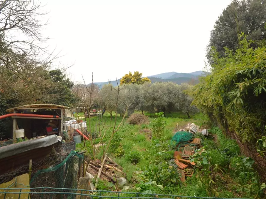 Immagine 20 di Rustico / casale in vendita  a Capannori