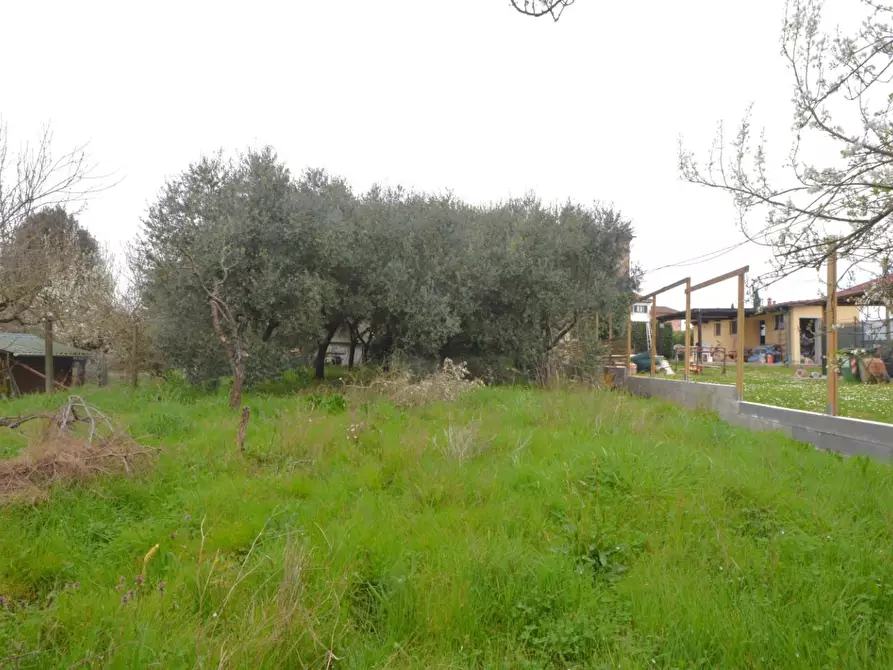 Immagine 17 di Rustico / casale in vendita  a Capannori