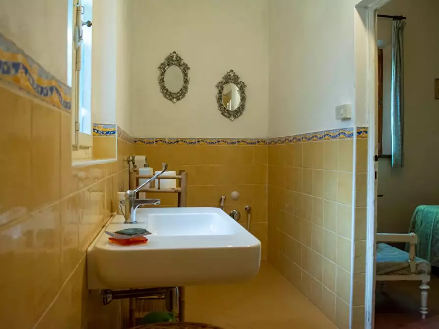 Immagine 11 di Rustico / casale in vendita  a Peccioli