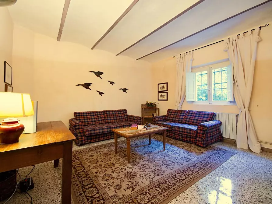 Immagine 5 di Rustico / casale in vendita  a Peccioli