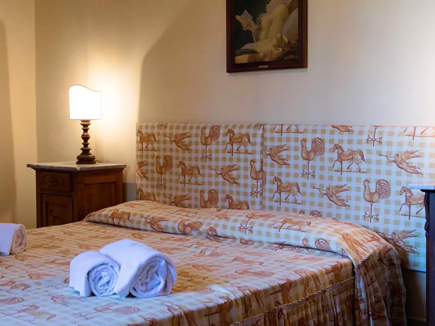 Immagine 8 di Rustico / casale in vendita  a Peccioli