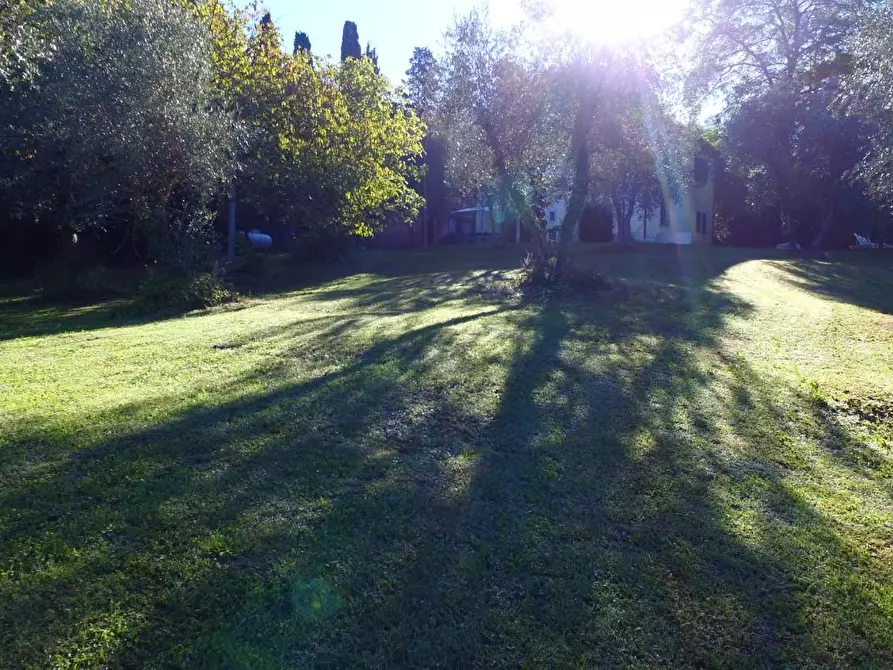 Immagine 2 di Rustico / casale in vendita  a Peccioli