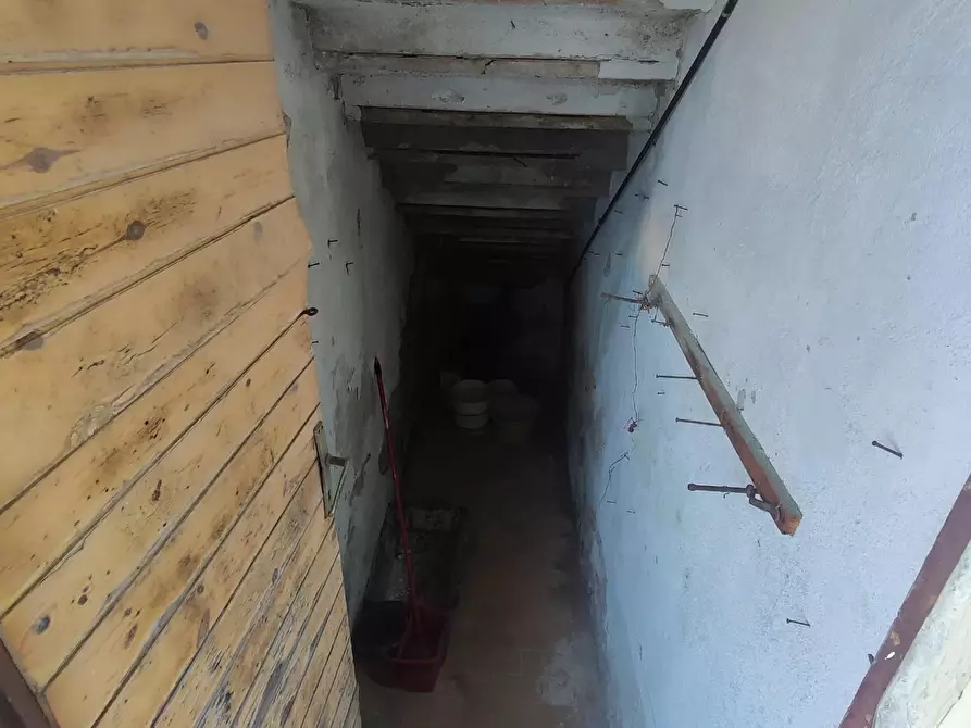 Immagine 5 di Appartamento in vendita  a Peccioli