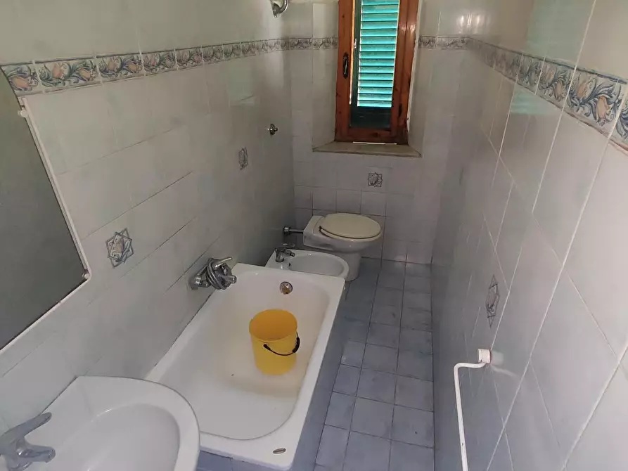 Immagine 4 di Appartamento in vendita  a Peccioli