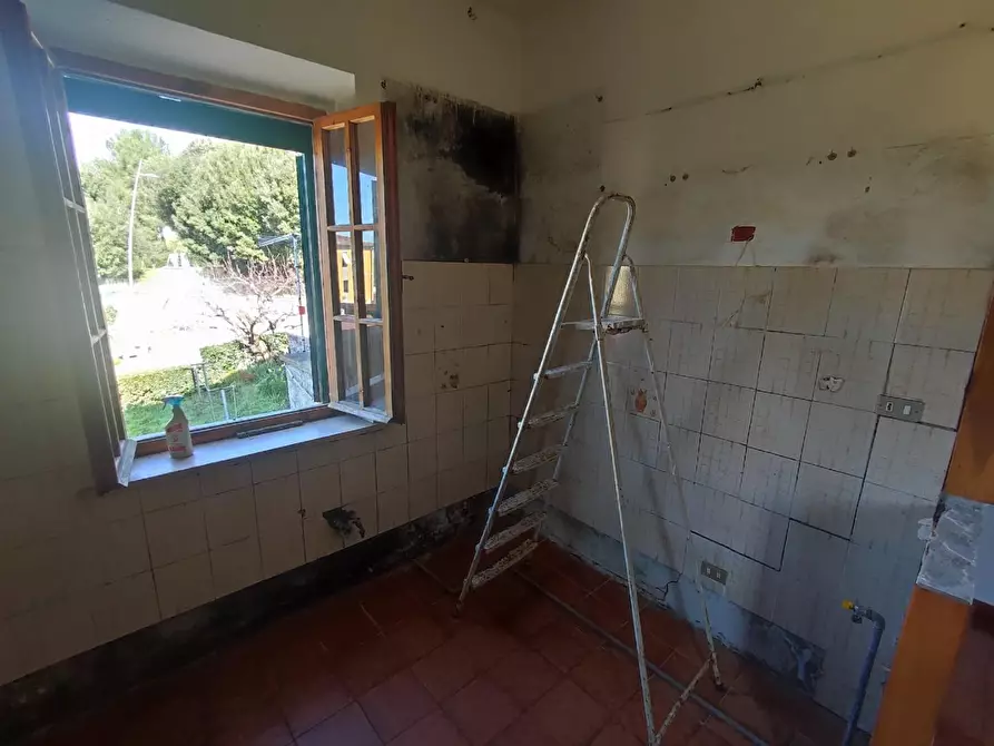 Immagine 9 di Appartamento in vendita  a Peccioli