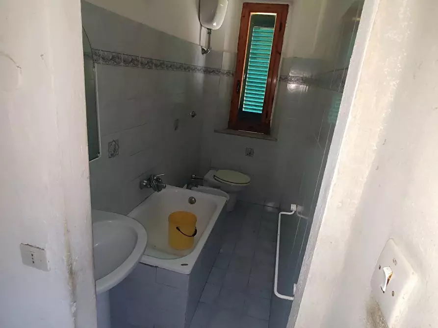 Immagine 3 di Appartamento in vendita  a Peccioli