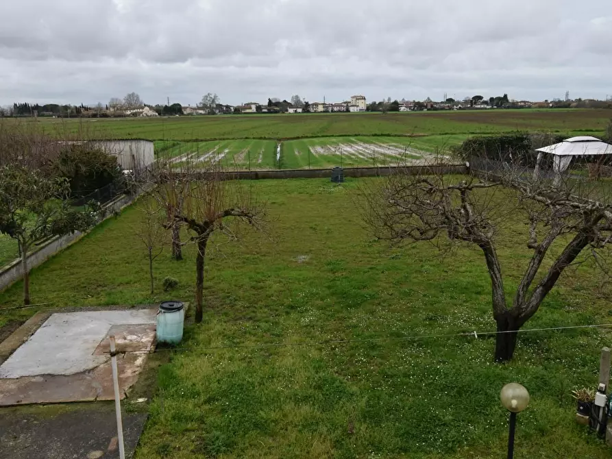 Immagine 39 di Villa in vendita  a Pisa