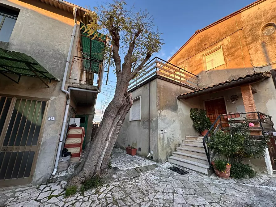 Immagine 41 di Casa semindipendente in vendita  a Crespina Lorenzana