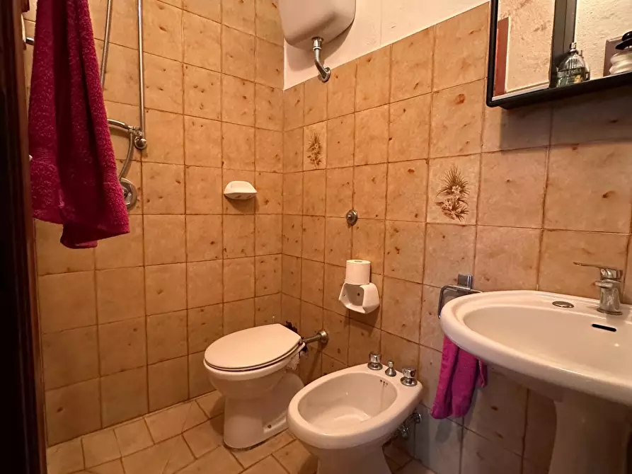 Immagine 37 di Casa semindipendente in vendita  a Crespina Lorenzana