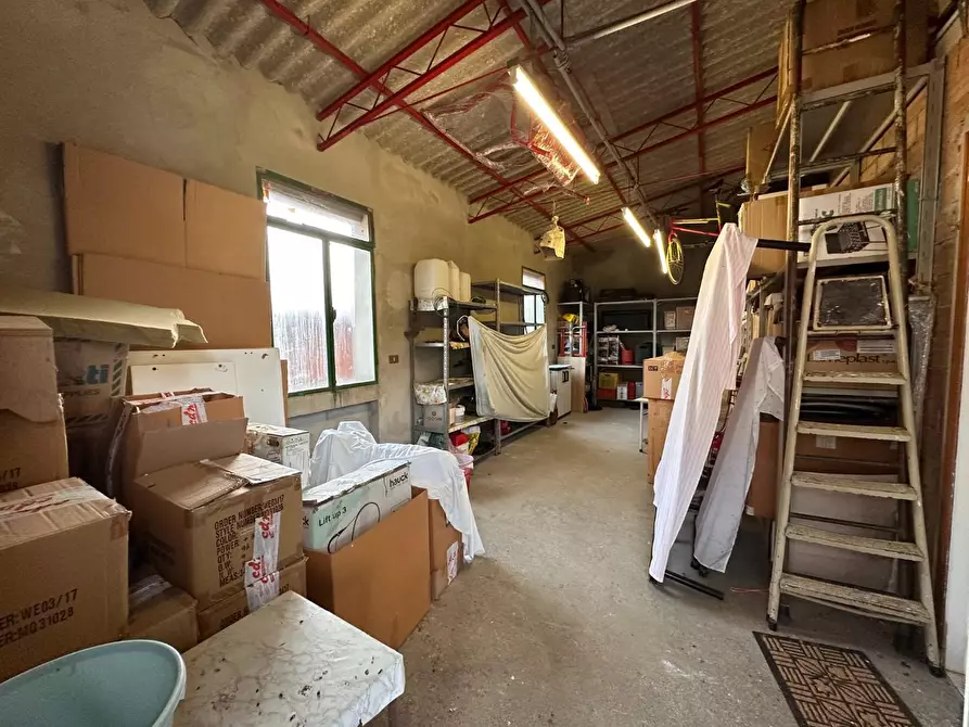 Immagine 40 di Casa semindipendente in vendita  a Crespina Lorenzana