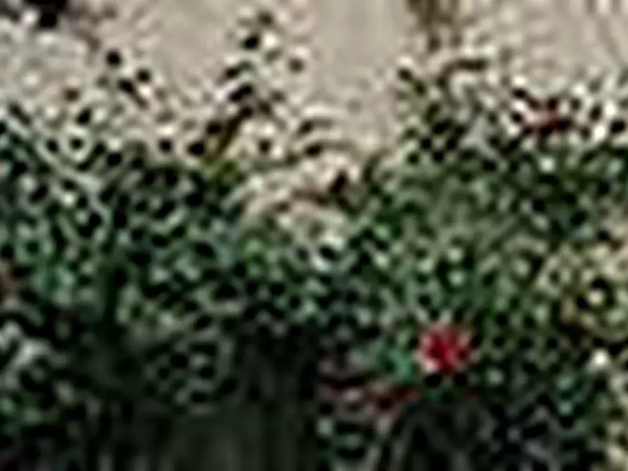 Immagine 15 di Villa in vendita  a Arena Po