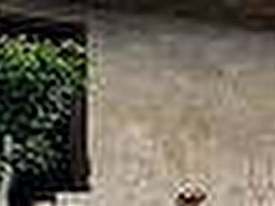 Immagine 16 di Villa in vendita  a Arena Po