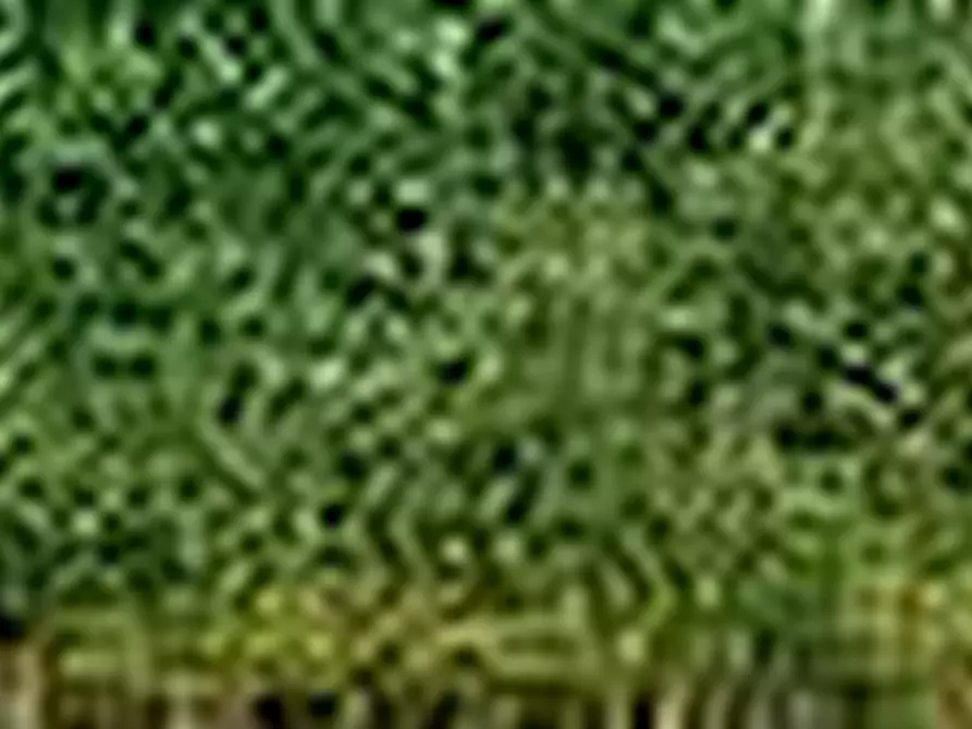 Immagine 12 di Villa in vendita  a Arena Po