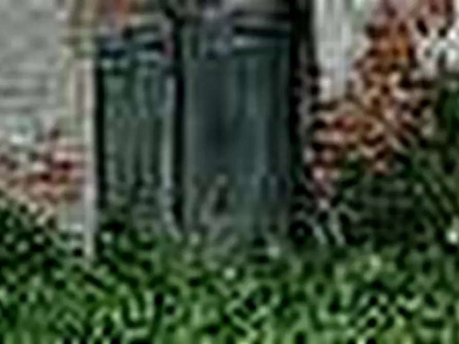 Immagine 13 di Villa in vendita  a Arena Po