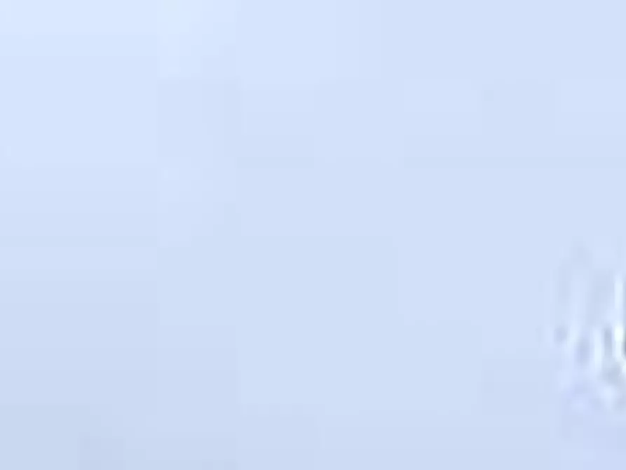 Immagine 19 di Villa in vendita  a Arena Po