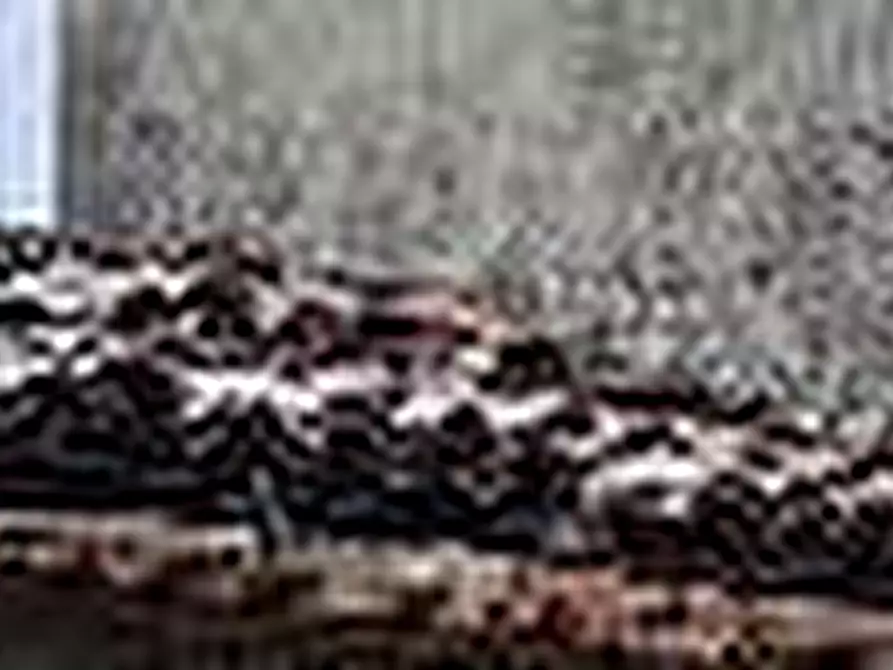 Immagine 17 di Villa in vendita  a Arena Po