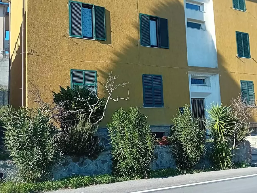 Immagine 8 di Appartamento in vendita  a Cinigiano