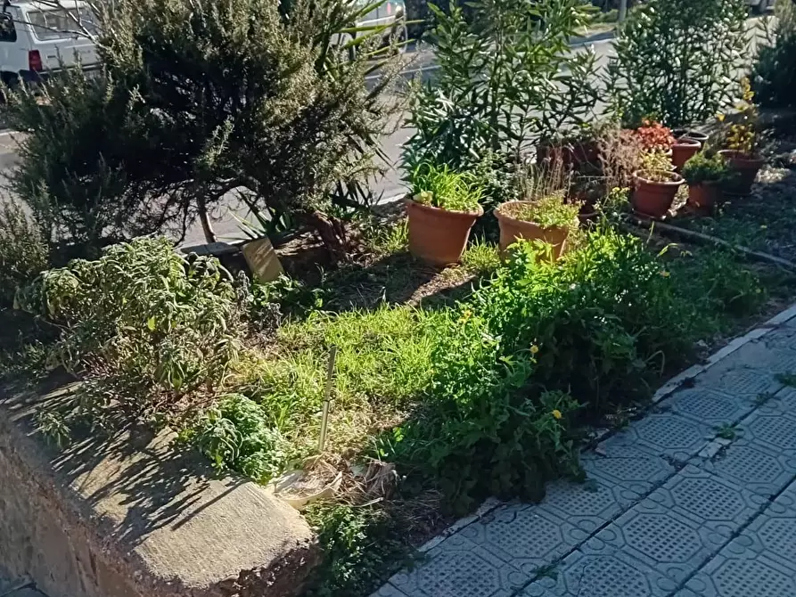 Immagine 1 di Appartamento in vendita  a Cinigiano