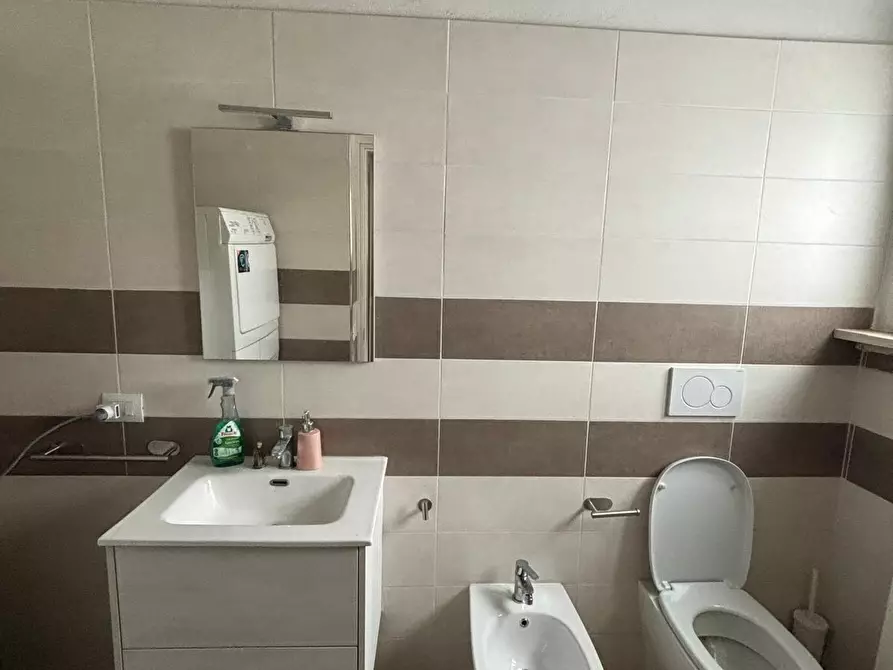 Immagine 12 di Terratetto in affitto  a Vecchiano