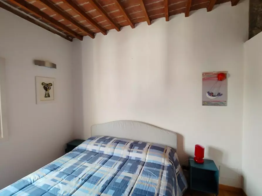 Immagine 29 di Appartamento in affitto  a Pisa