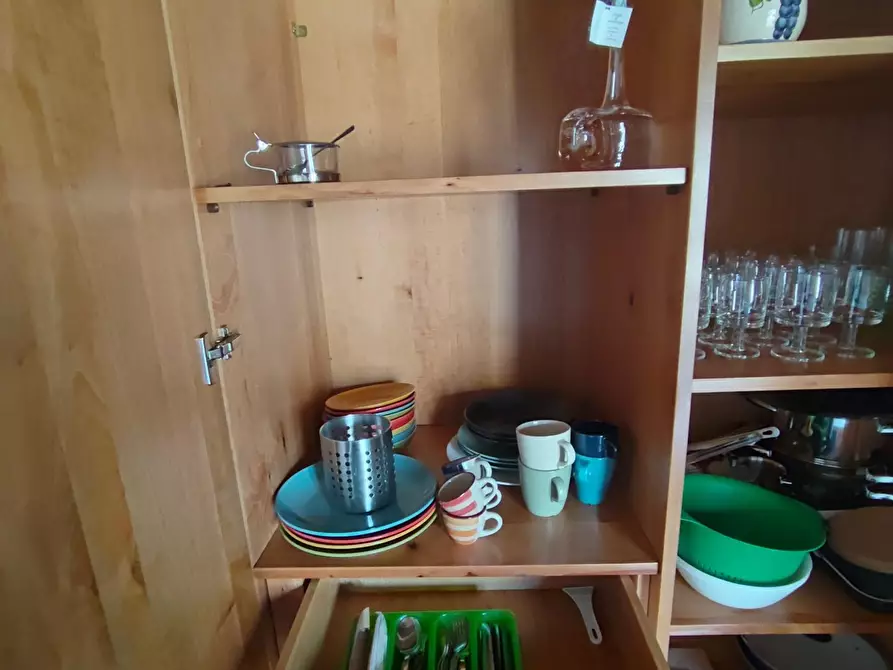 Immagine 17 di Appartamento in affitto  a Pisa