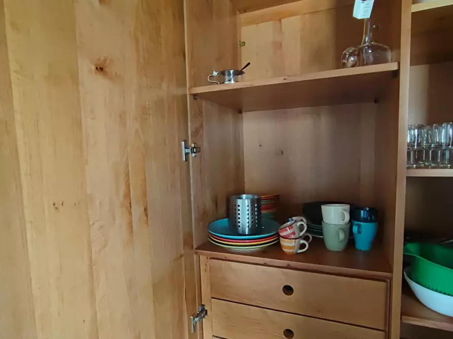 Immagine 19 di Appartamento in affitto  a Pisa