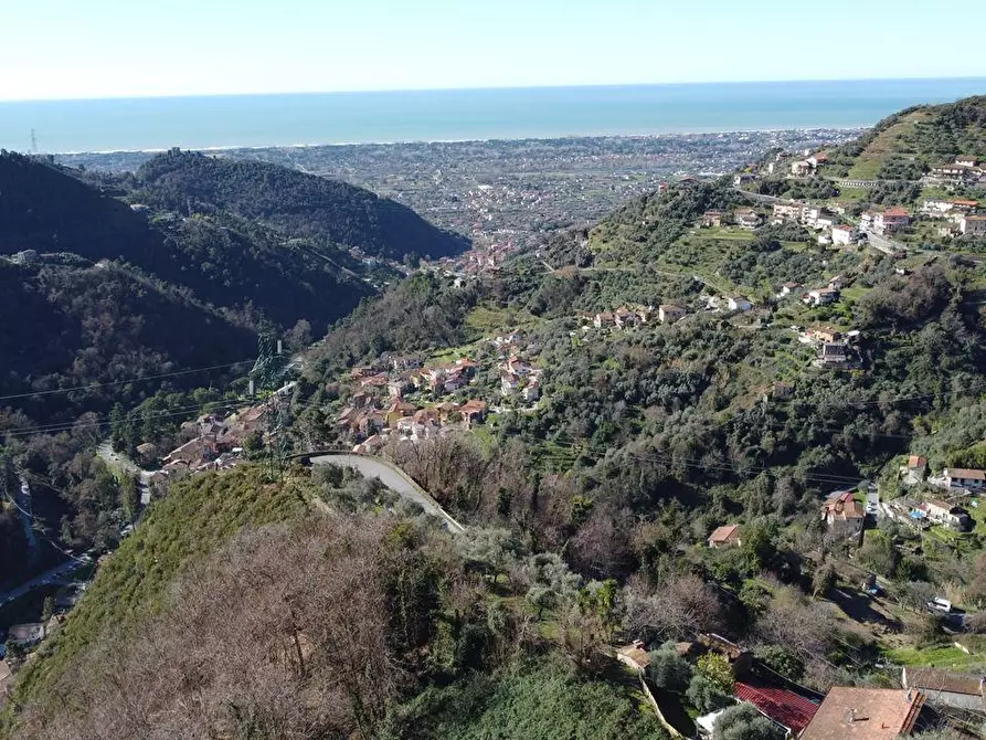 Immagine 2 di Casa semindipendente in vendita  a Montignoso