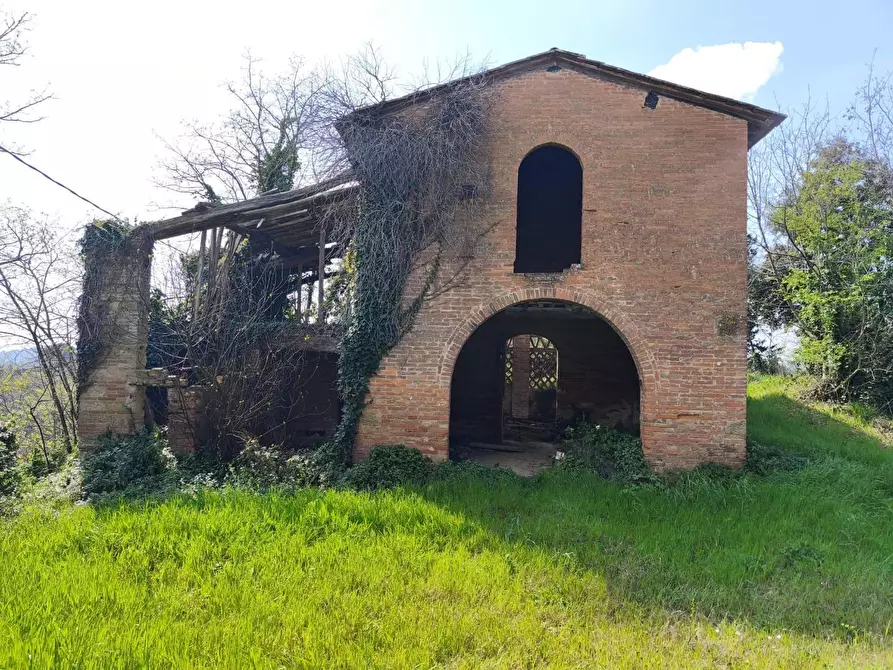 Immagine 7 di Casa colonica in vendita  a Palaia