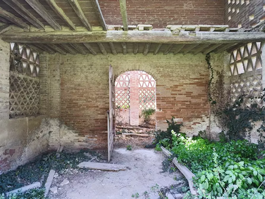 Immagine 20 di Casa colonica in vendita  a Palaia