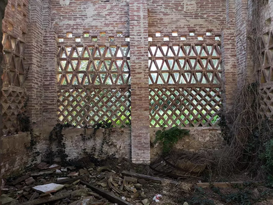 Immagine 17 di Casa colonica in vendita  a Palaia