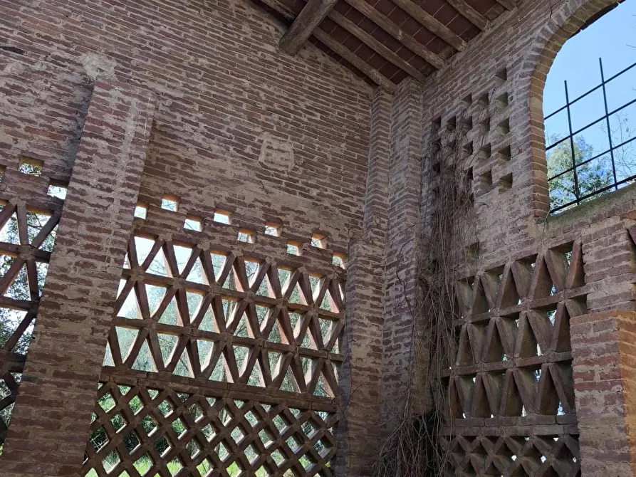 Immagine 15 di Casa colonica in vendita  a Palaia