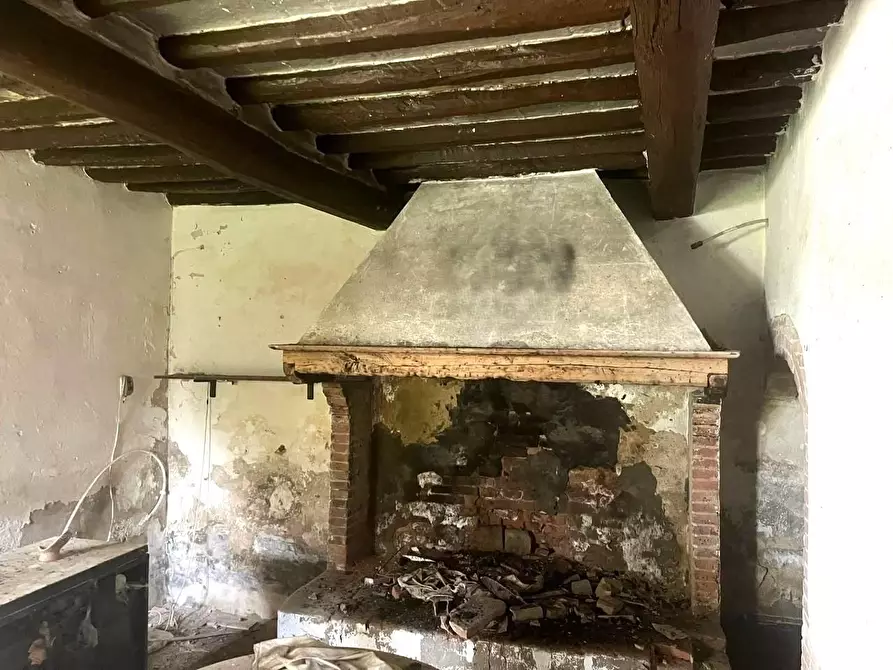 Immagine 22 di Casa colonica in vendita  a Palaia