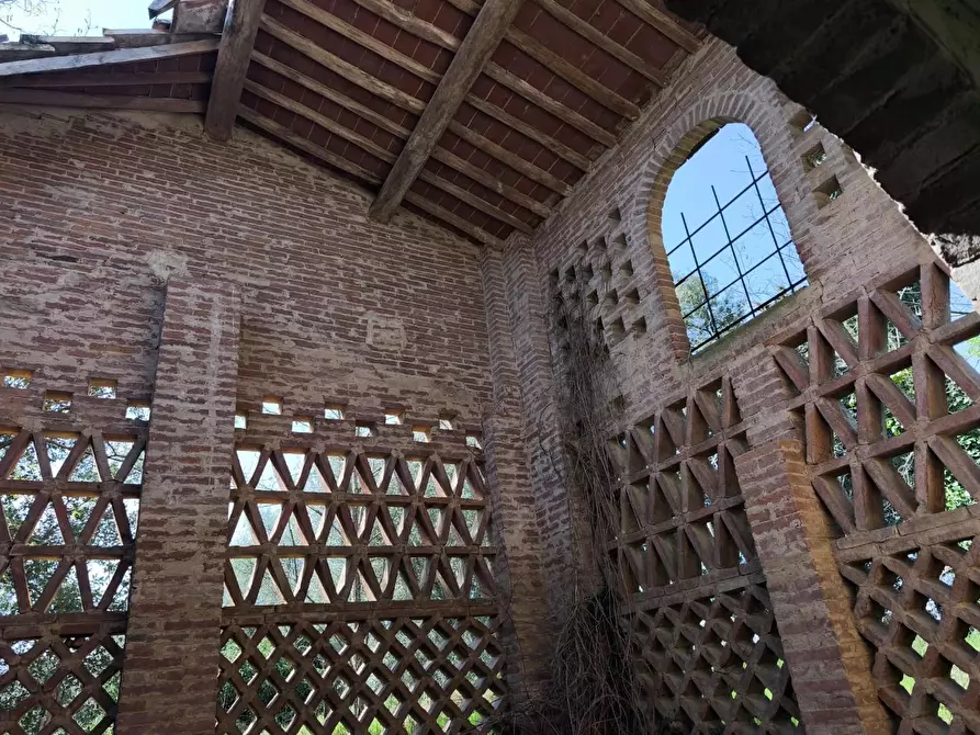 Immagine 11 di Casa colonica in vendita  a Palaia