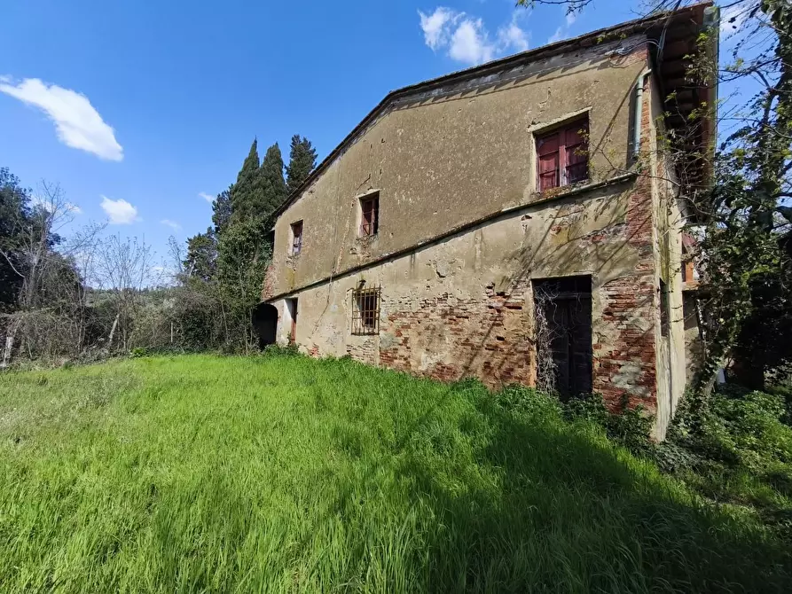 Immagine 14 di Casa colonica in vendita  a Palaia