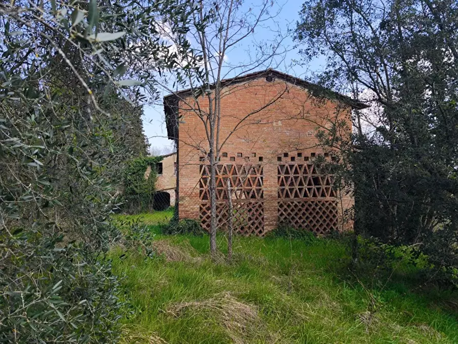 Immagine 6 di Casa colonica in vendita  a Palaia