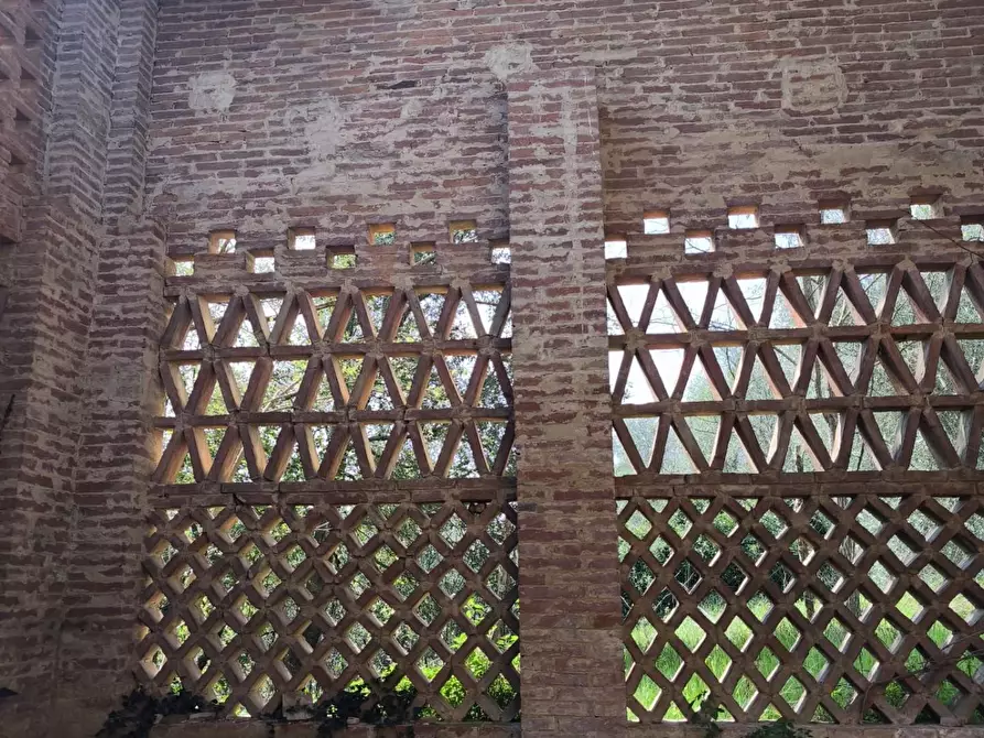 Immagine 19 di Casa colonica in vendita  a Palaia