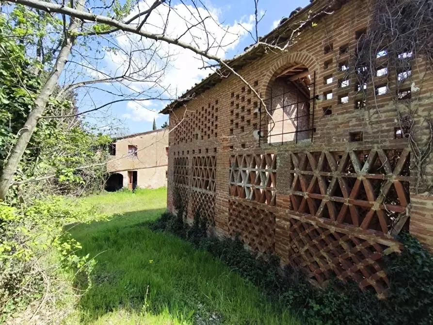 Immagine 5 di Casa colonica in vendita  a Palaia