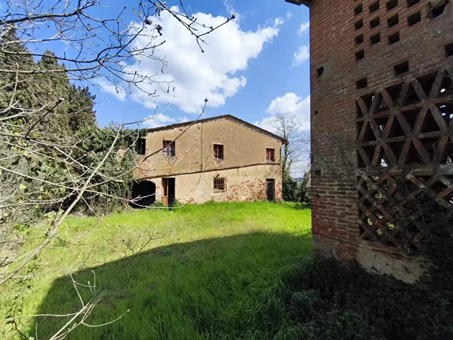 Immagine 8 di Casa colonica in vendita  a Palaia