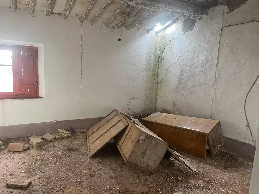 Immagine 18 di Casa colonica in vendita  a Palaia