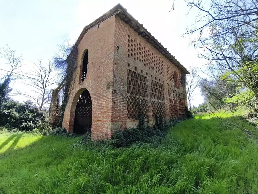 Immagine 16 di Casa colonica in vendita  a Palaia